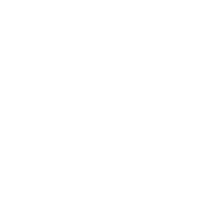 Logo du graphiste Piel Régis en blanc